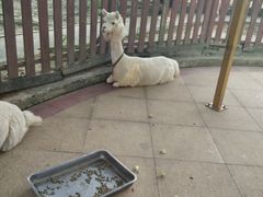 -国色天乡三期陆地乐园
