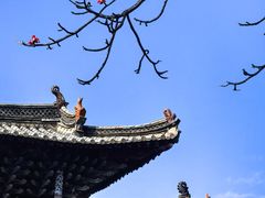 -建水文庙