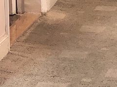 -上海棕榈滩海景酒店