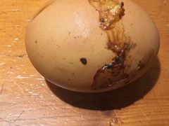 -沿海405烤场(沿海赛洛城店)