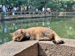 -西园戒幢律寺