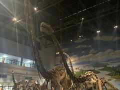 -自贡恐龙博物馆