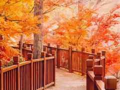 -崂山巨峰游览区