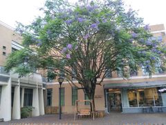 -福州大学(旗山校区)