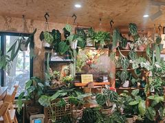 -Rabbit Cafe私房西餐甜点咖啡(栖霞路店)