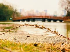 -黄兴公园