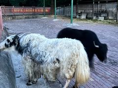-无锡动物园·太湖欢乐园