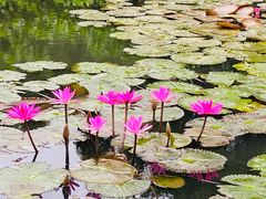 -白沙门生态公园