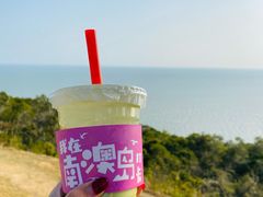 -南澳岛打卡果汁冰公司
