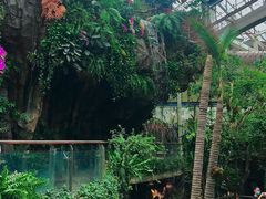 -正佳雨林生态植物园