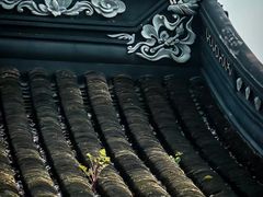 -九鼎轩脆毛肚火锅(南京东路店)