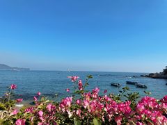 -大梅沙海滨公园