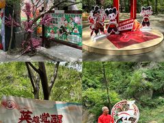 -洛阳花果山景区