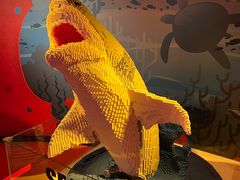 -沈阳海洋探索中心