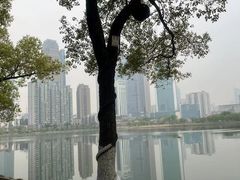 -西北湖绿化广场