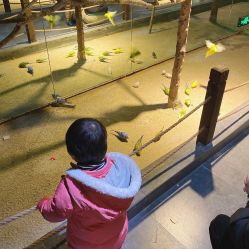 -酷嗒动物文化乐园(cutezoo西溪乐天城店)