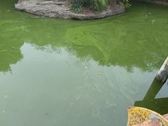 -南昌动物园