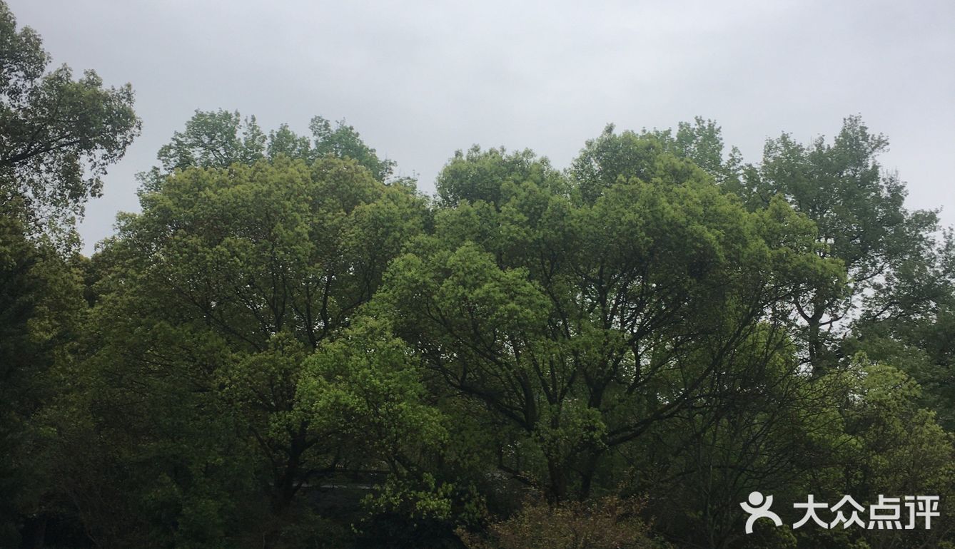 脖子的话很多人就是这样的一种盐分了
