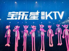 -宝乐星量贩KTV(莲升路店)