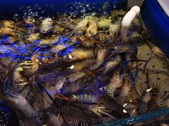 -澜悦港海鲜体验主题餐厅