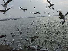 -云南滇池花园国际大酒店温泉