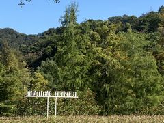 -云溪植物园