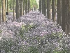 -杭州香格里拉饭店