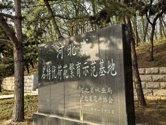 -南戴河国际娱乐中心