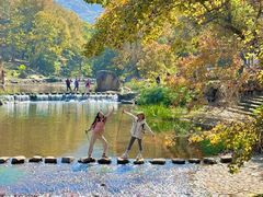 -广州市石门国家森林公园