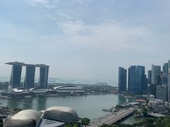 -新加坡瑞士史丹福酒店