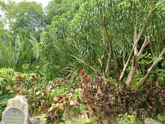 -中国科学院西双版纳热带植物园