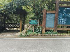 -姑婆山旅游区