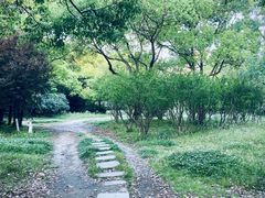 -大宁公园