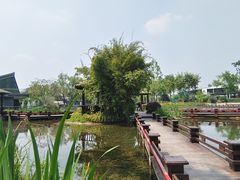 -成飞公园