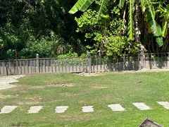 -广东惠东海龟国家级自然保护区