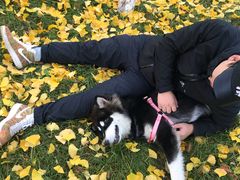 -金石唐风国际温泉会馆