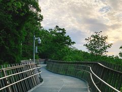 -福道