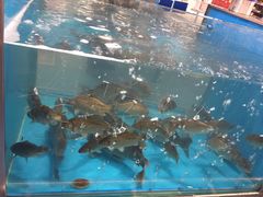 -麦德龙(郑东店)