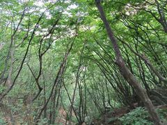 -北京密云天门山风景区