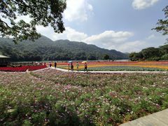 -广州市石门国家森林公园