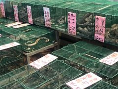 水产区-荔城生鲜盛宴(番禺旗舰店)