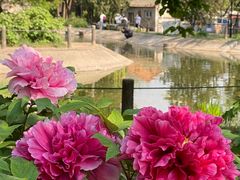 -国家植物园南园
