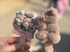 -合肥野生动物园