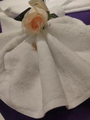 -蕾蕾美颜美容美体