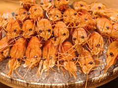 -樱之盛宴·蟹料理海鲜自助(前进大街店)