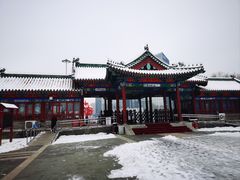 -莲花池公园