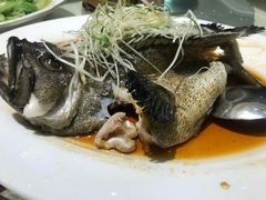 -OPEN開全日自助餐厅·牛肉火锅·海鲜(佛山希尔顿酒店)