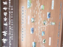 -青峰峡国家森林公园