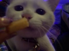 iphone_upload_pic-Sirena海妖日咖夜酒