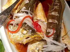 -前海沿·青岛菜(乐客城店)